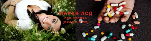 спиды Верея