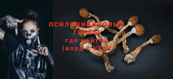 ALPHA PVP Верхний Тагил