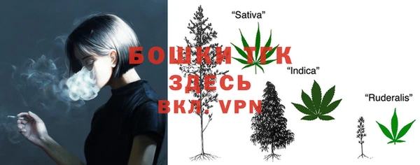 ALPHA PVP Верхний Тагил