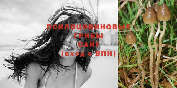 спиды Верея