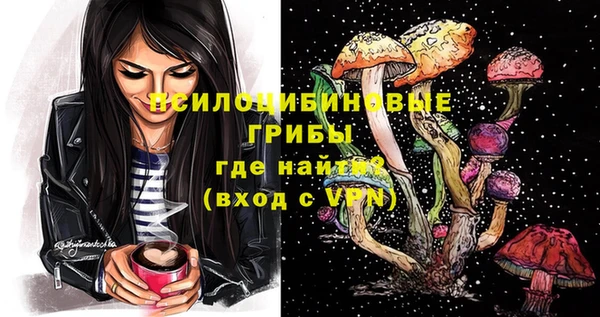 спиды Верея